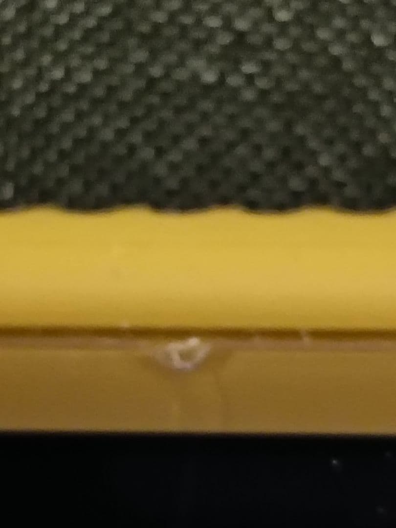 Nintendo Switch Lite イエロー