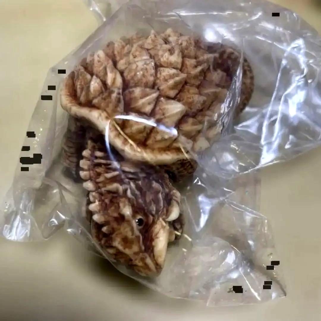 怪獣根付「ガメラ」