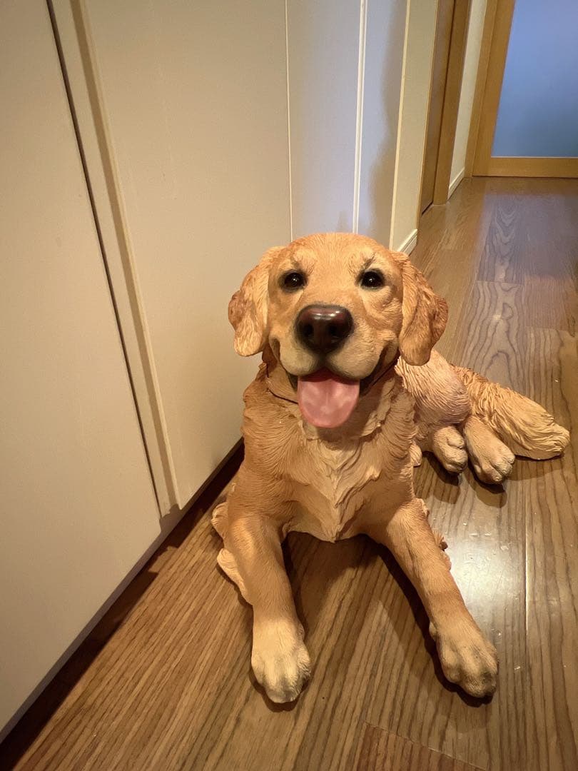 かつ様専用ゴールデンレトリバー犬 オブジェ置物オーナメント実物大