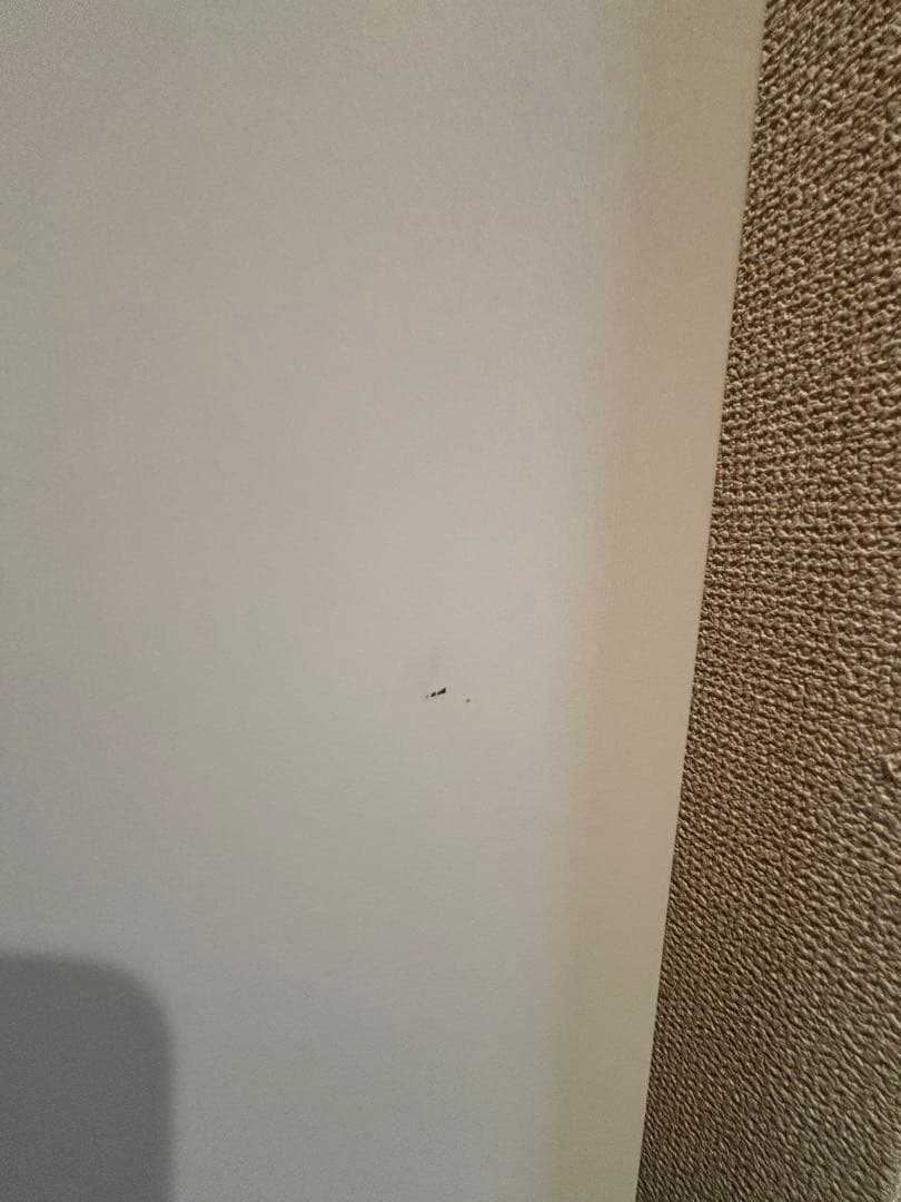 milkypapaさま　専用