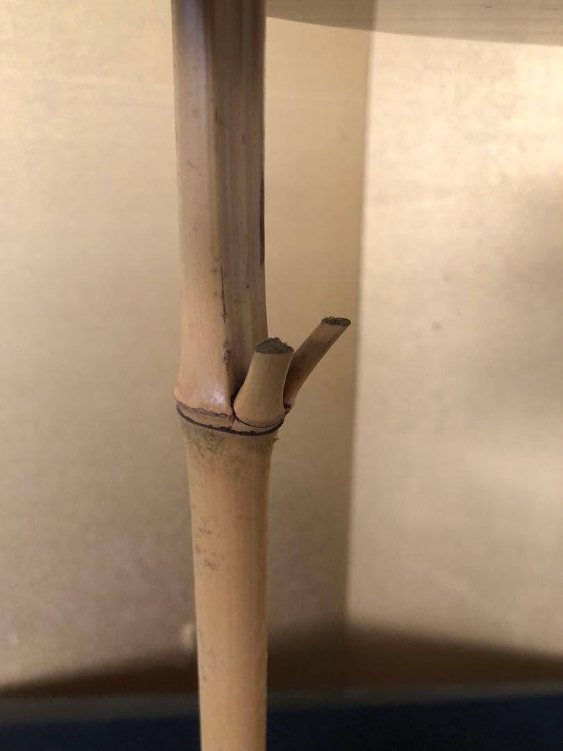 《R》茶道具 溜塗 三友棚 組立式 塗師 川瀬表完作 共箱　260114き3