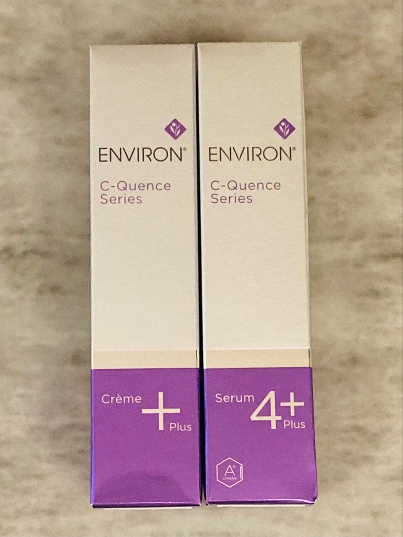 明治時代 日本画 木村関泉（きむら かんせん） 山水 掛軸 紅葉 秋 明治