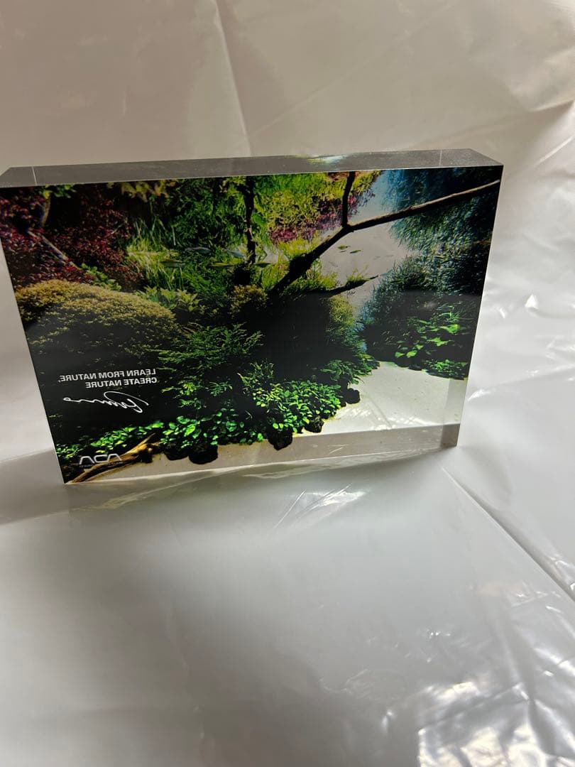 ADA アクリルフォト水中の森 初めてのアクアテラリウム No.8