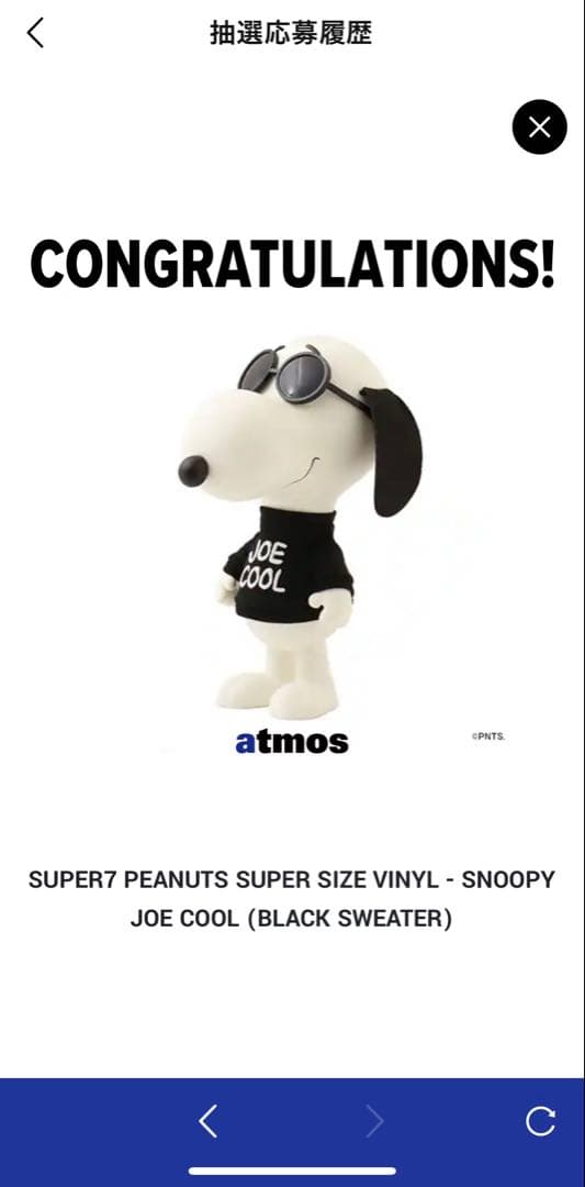 その他 SUPER7PEANUTS SUPER SIZE VINYL