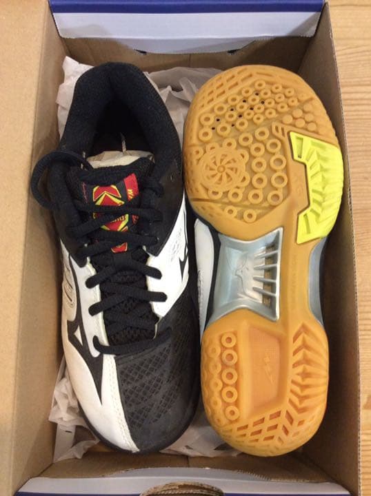 掛軸 販売 高野山 金剛峯寺 白象 亡き母の小さき座布団伊予絣 木箱付き