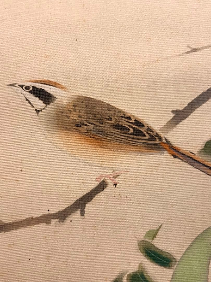 奥村土牛 蜜柑に雀図 印刷工芸品 日本画 掛け軸 掛軸 茶掛 小林古渓師事