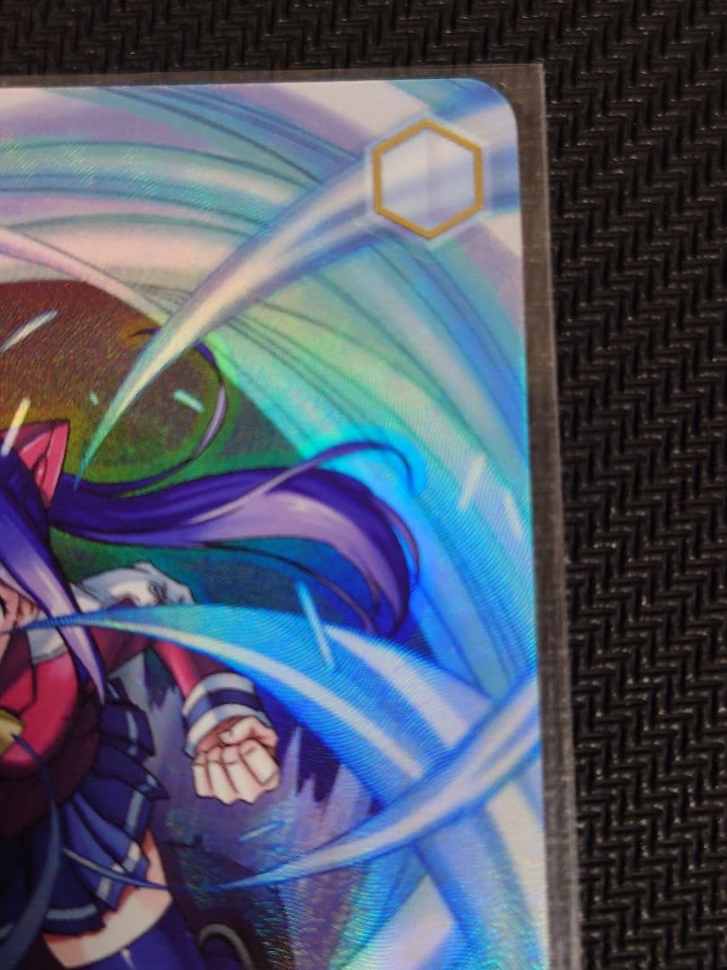 天竜の力 ウェンデ　S120-074SSP　箔押し　ヴァイスシュヴァルツ