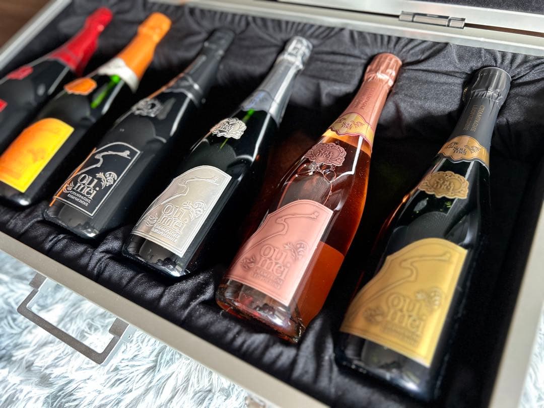 ソウメイ6本セット(空き瓶) アルミケース付き