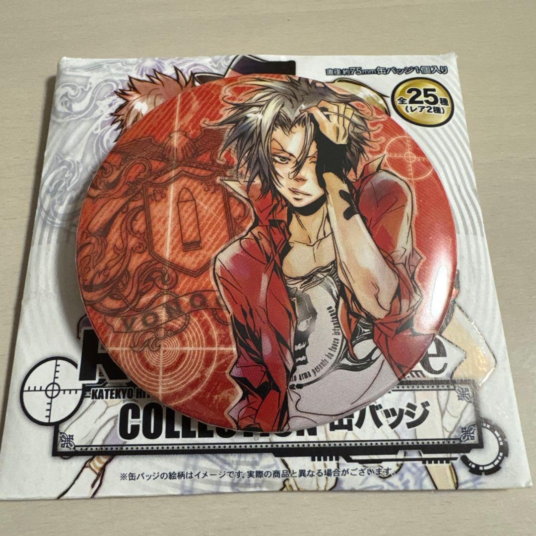 家庭教師ヒットマンREBORN 天野明展 缶バッジ キャラバッジ 獄寺隼人