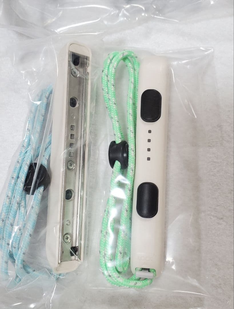 あつまれ どうぶつの森セット Nintendo Switch　ケース付き