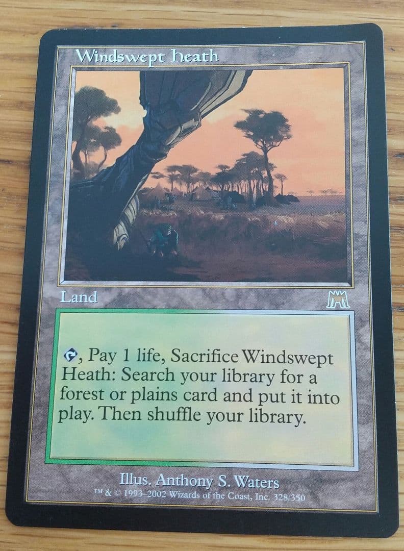 MTG 吹きさらしの荒野 Windswept Heath 英語 - メルカリ