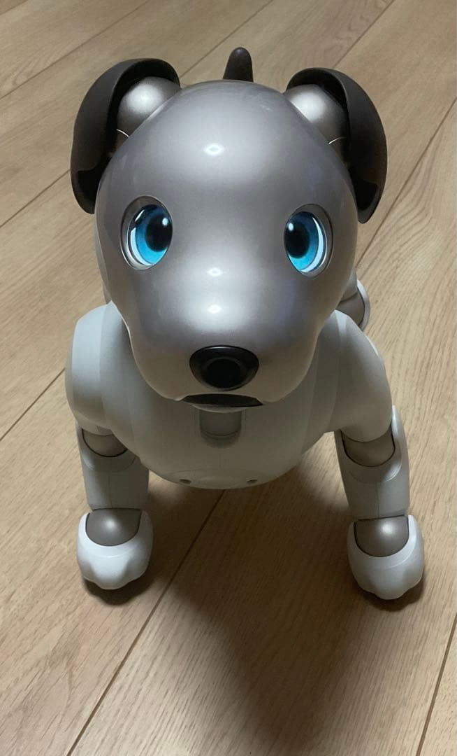 SONY アイボ本体