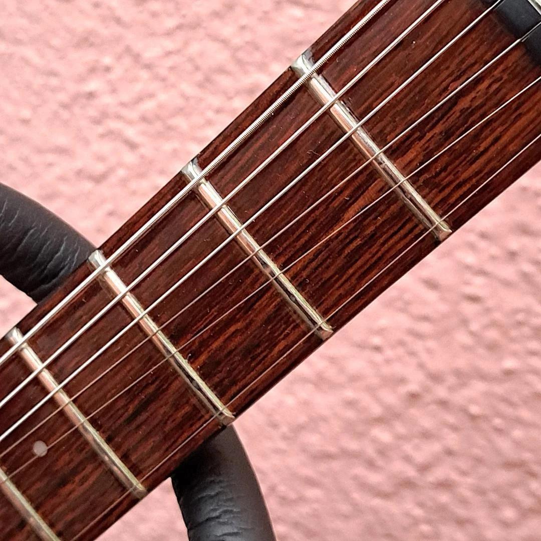 Aria pro ii Rg-750 Rickenbacker 1970078