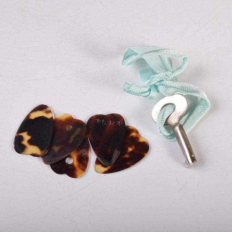 Rio　スズキ　マンドリン　鼈甲製ピック・ハードケース付　V　R7789C