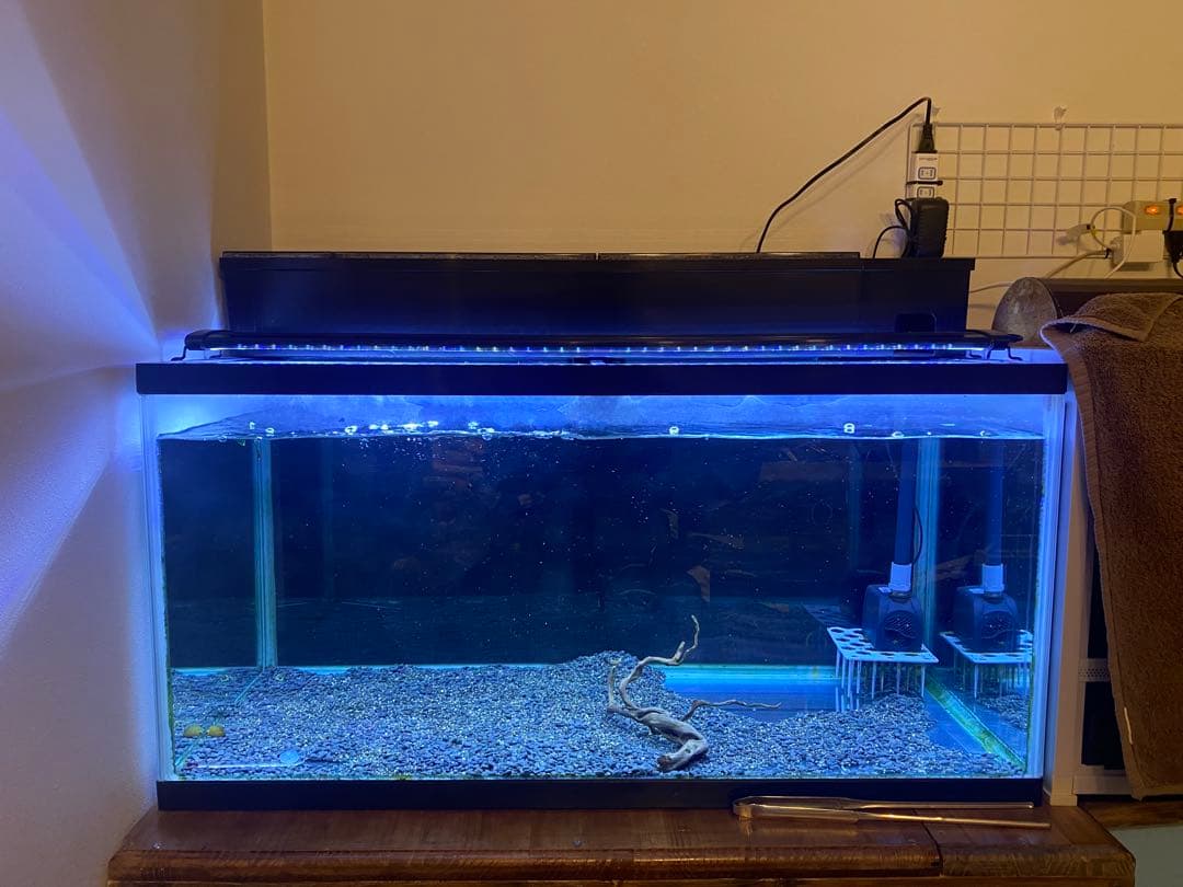 相談中 引取限定 90センチ水槽セット