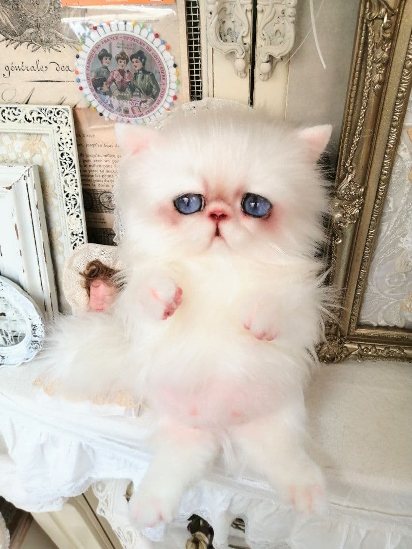 大きなベビーちゃん♡エキゾチックロングヘア♡子猫♡アートドール