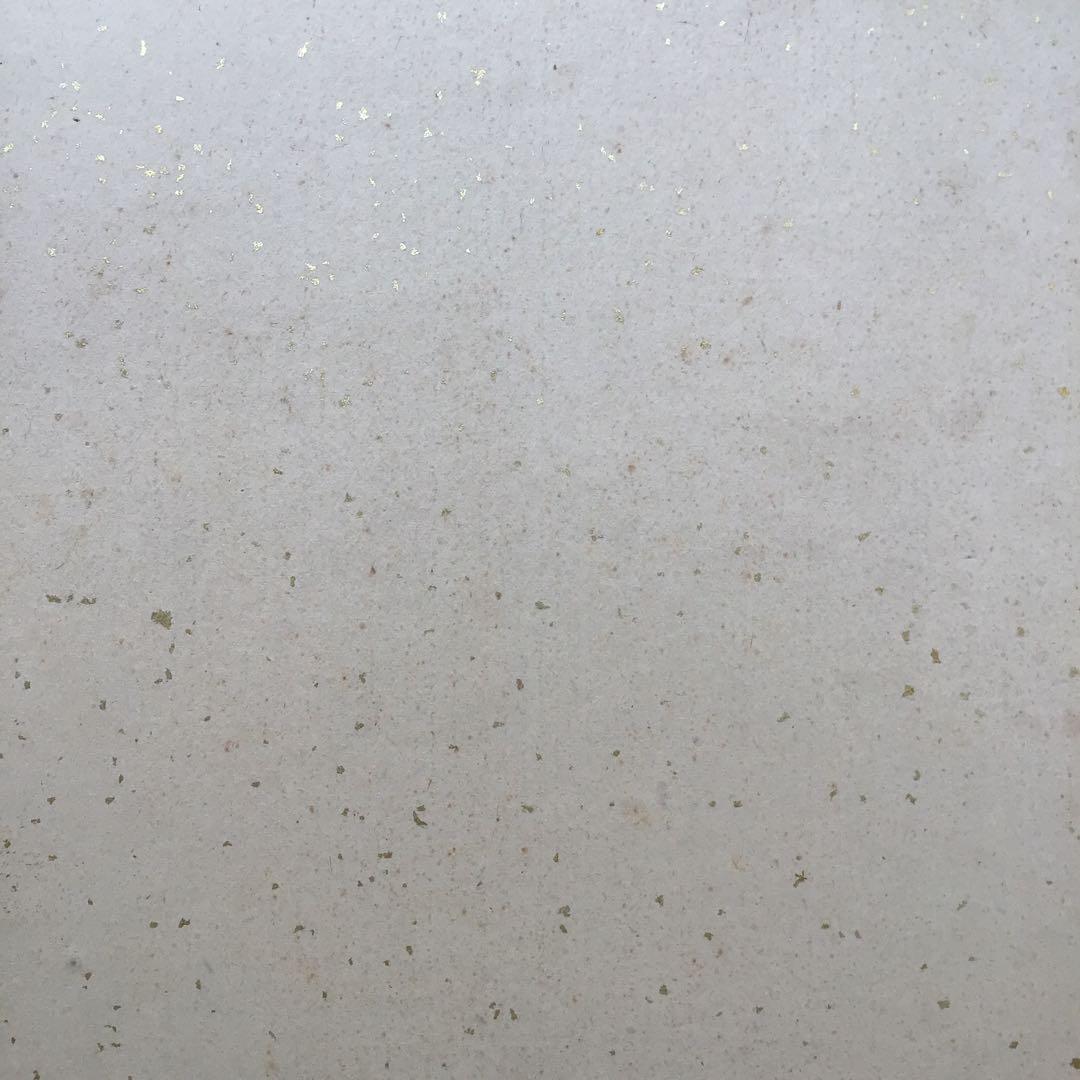 色紙 松、鶴、旭日を金地に描いた吉祥画 配送用袋 S1039SS