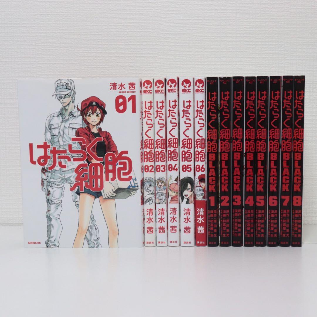 ナルト72全巻+3巻 岸本斉史先生の通販｜elegannews.com