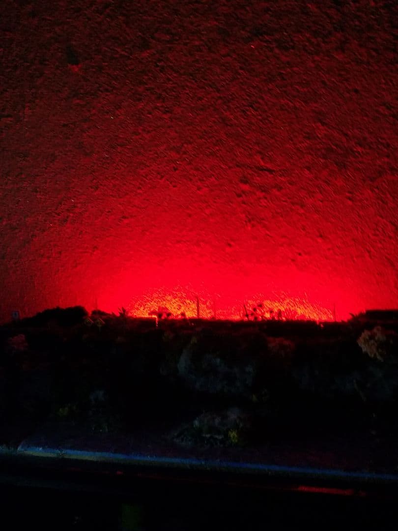 鉄道模型風景 鉄道と桜の風景、愛媛県、引き取り限定