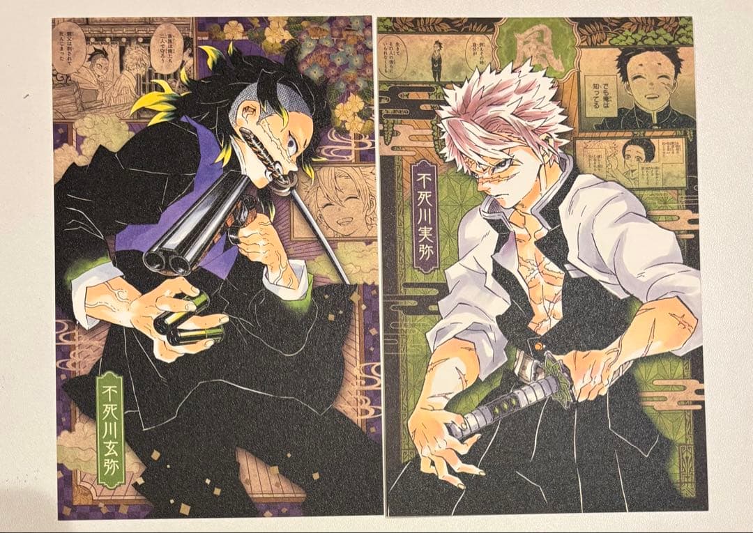 鬼滅の刃 20巻 特装版ポストカード 不死川玄弥 不死川実弥 - メルカリ
