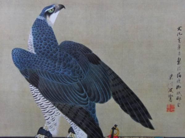 蠣崎波響、名鷹図、超希少・大判画集画、新品高級額装付