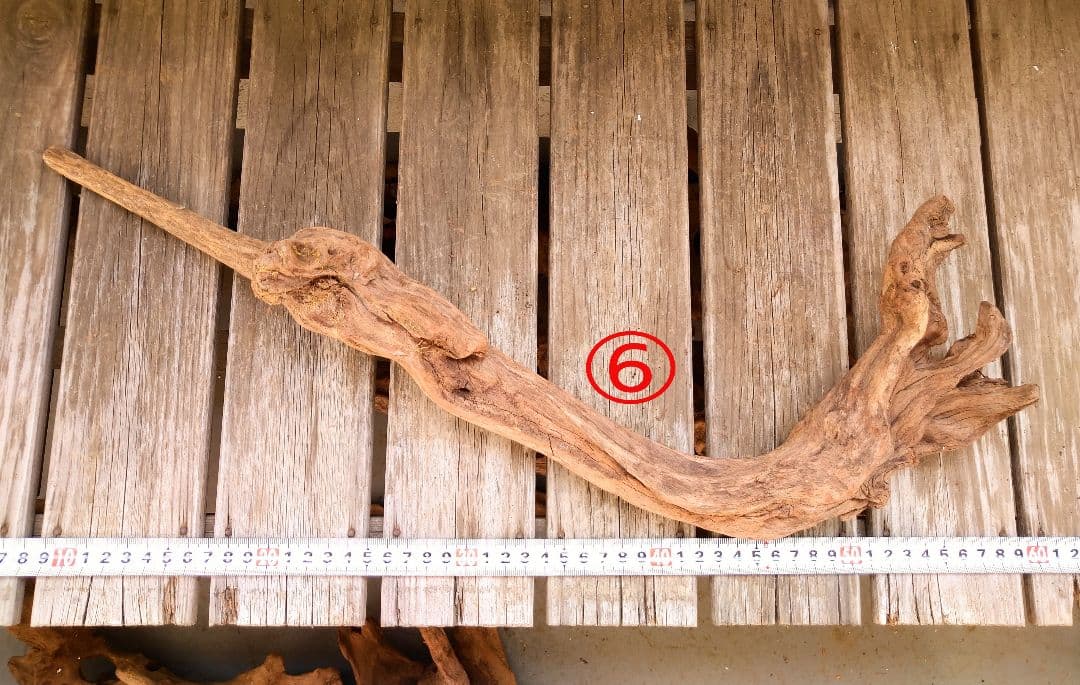 アクアリウム用品 レイアウト 良型 流木 Lサイズ 7本セット - メルカリ