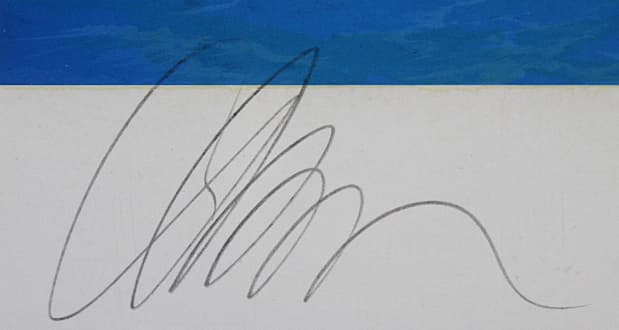 ラッセン【エタニティ】ミクスドメディア 証明書有り - メルカリ