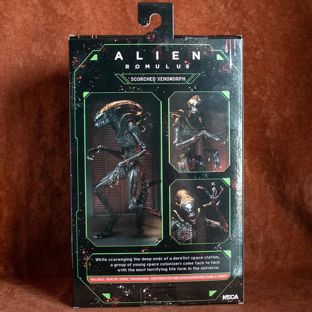 NECA　スコーチド ゼノモーフ　エイリアン ロムルス