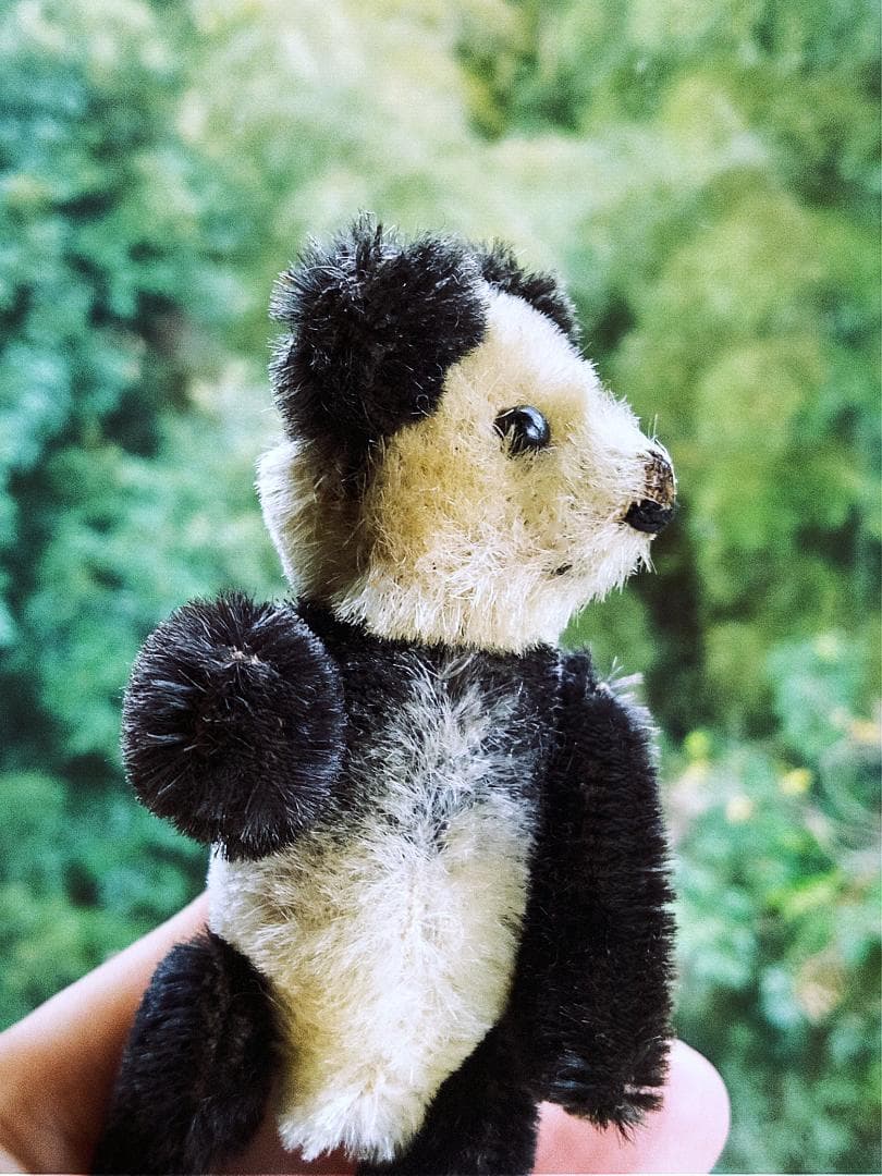 きっとあの子のお友達　ドイツのこぐま　シュコー　パンダ　 アンティーク　９ｃｍ きっとあの子のお友達 Schuco ベア ドイツのこぐま シュコー パンダベア