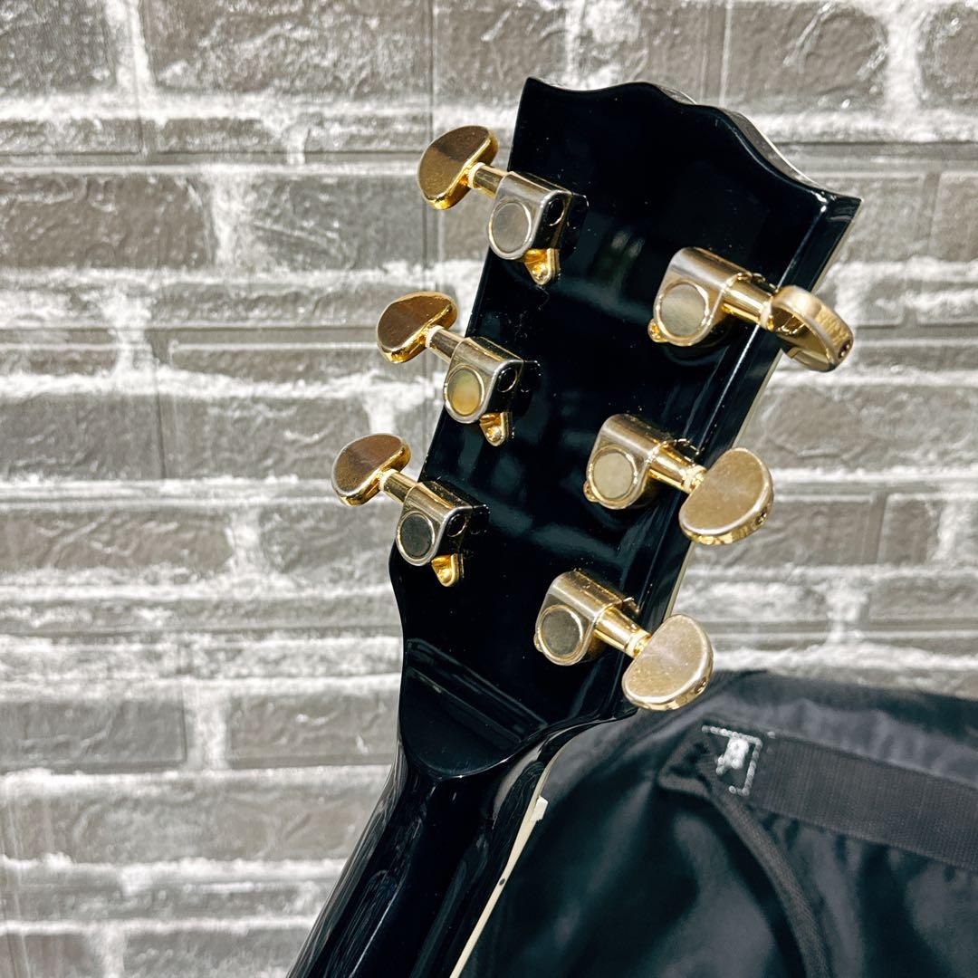 GrassRoots/グラスルーツ レスポールカスタム ブラック ソフトケース付