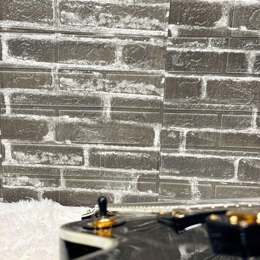 GrassRoots/グラスルーツ レスポールカスタム ブラック ソフトケース付