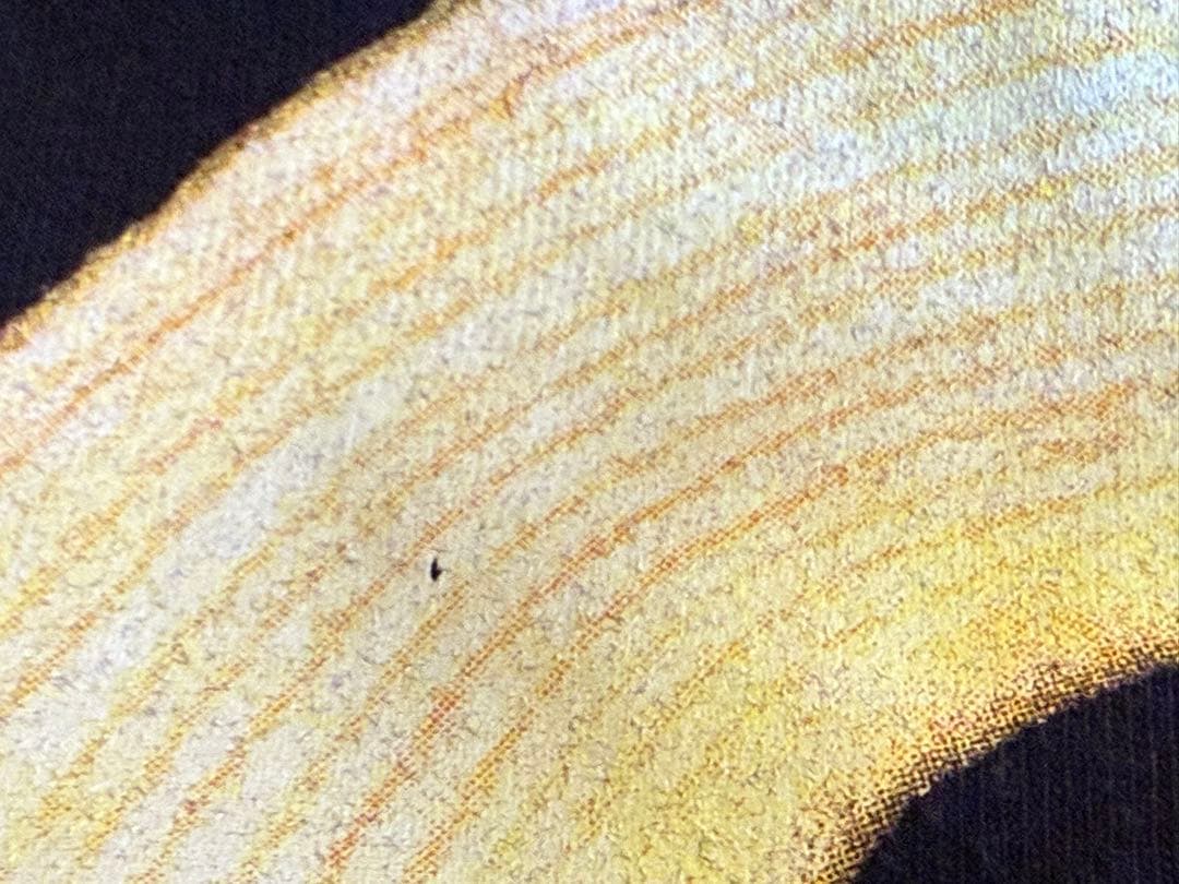 ハイロウズ　ツアーグッズ　バームクーヘン　angel beetle