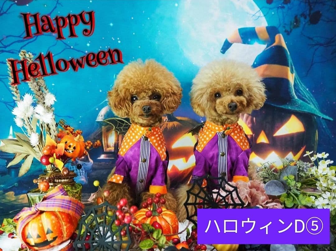 背景布【秋XA】サンプル80×120cm ペット撮影用ブース 運動会 お月見