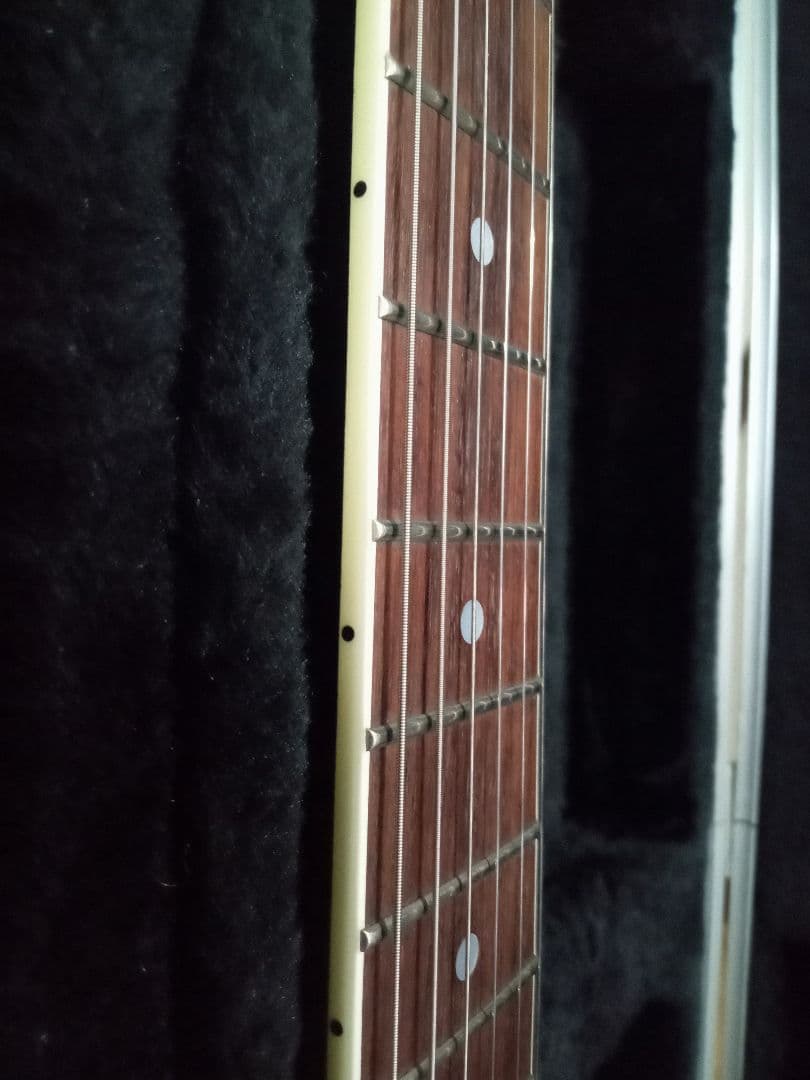 FERNANDES TEJ DELUXE 2S　純正ハードケース付き