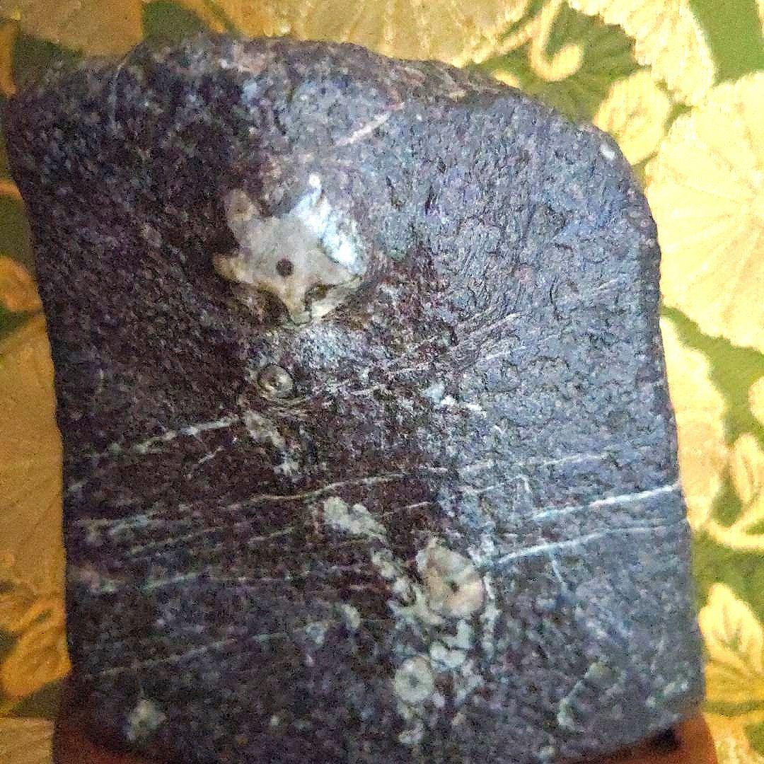 最終特別価格】門司梅花石台座付水石盆石