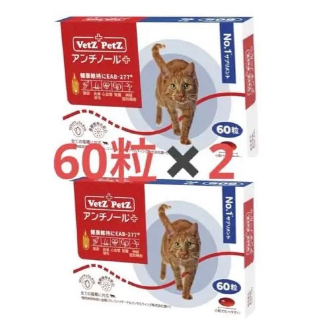 アンチノール プラス　60粒×2セット アンチノールプラス 犬用 60粒×2箱｜Yahoo!フリマ（旧PayPayフリマ）