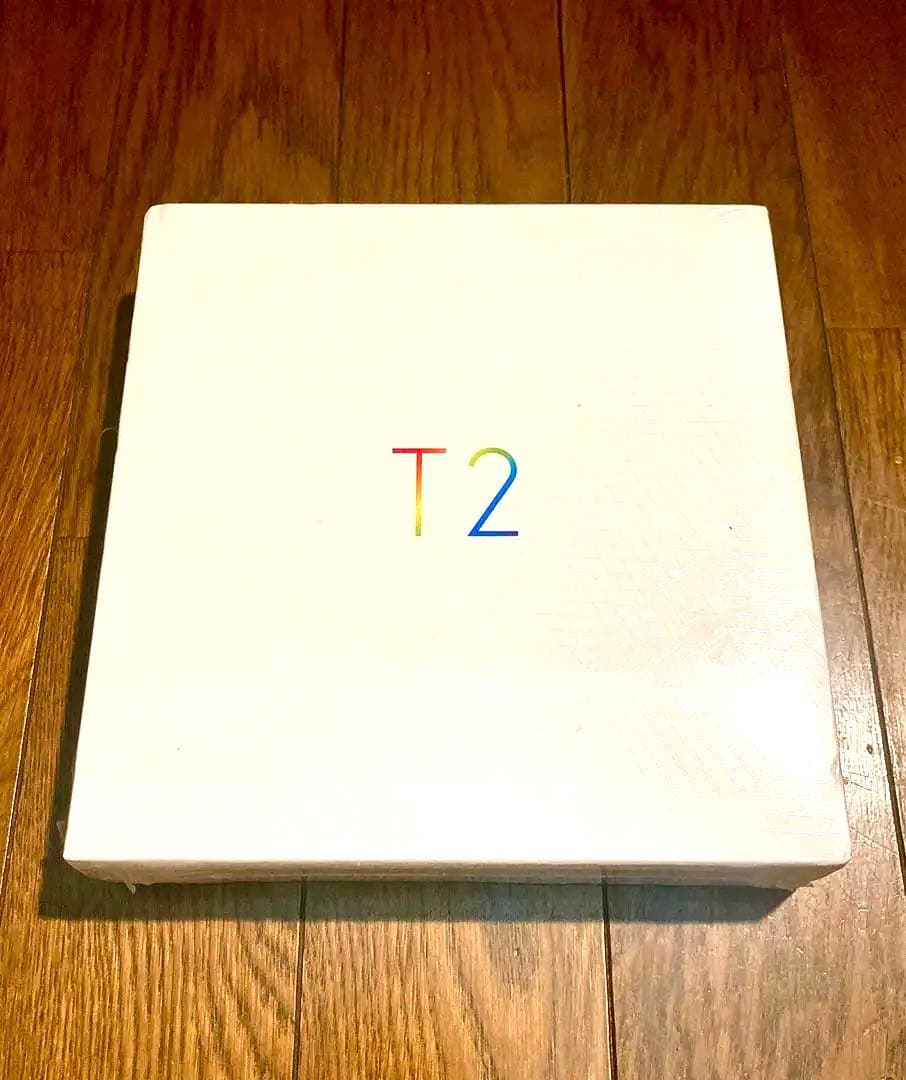 イヤホン TTPOD AUDIO \"T2\" HYBRID EAR HEADPHONES