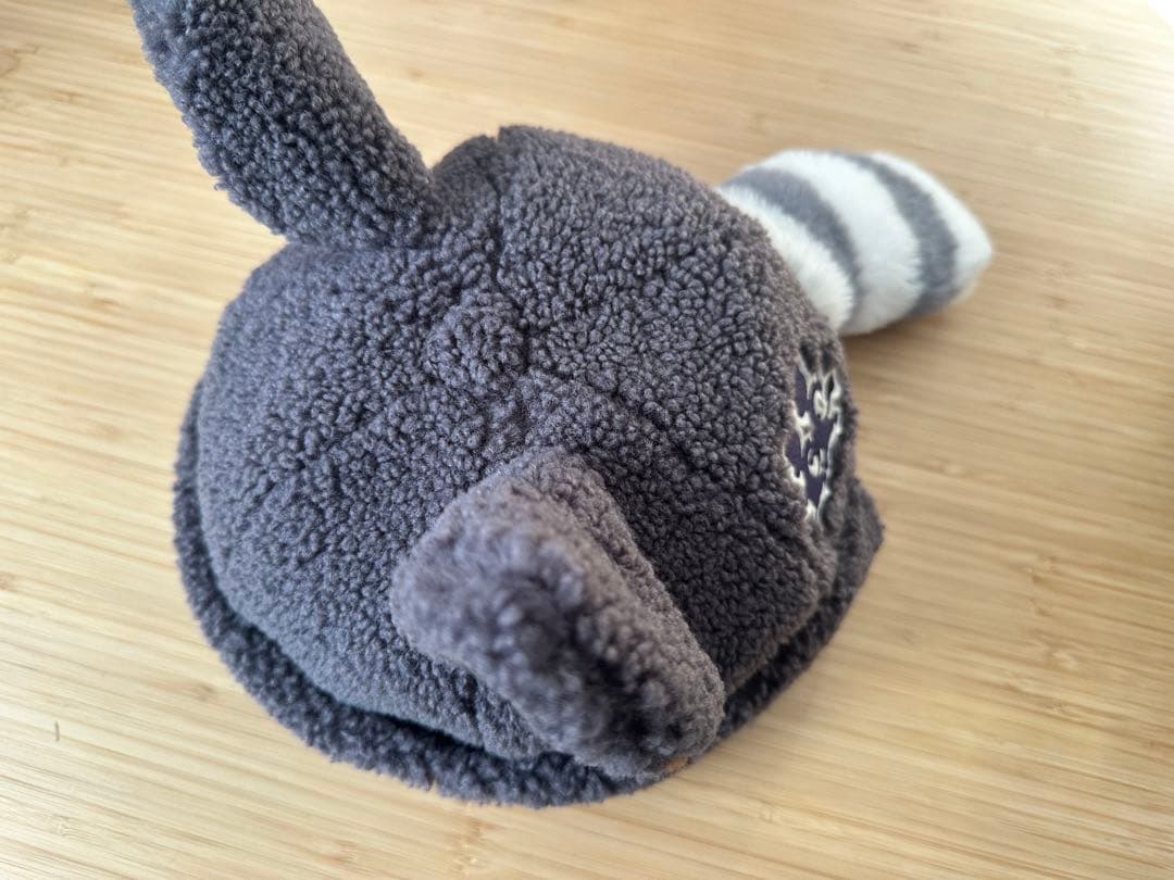 ファンタジースプリングス　ファンキャップ ロストキッズ　５点セット