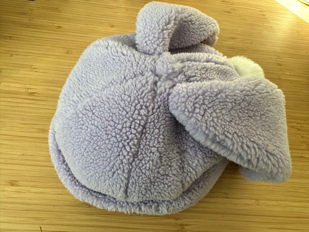 ファンタジースプリングス　ファンキャップ ロストキッズ　５点セット