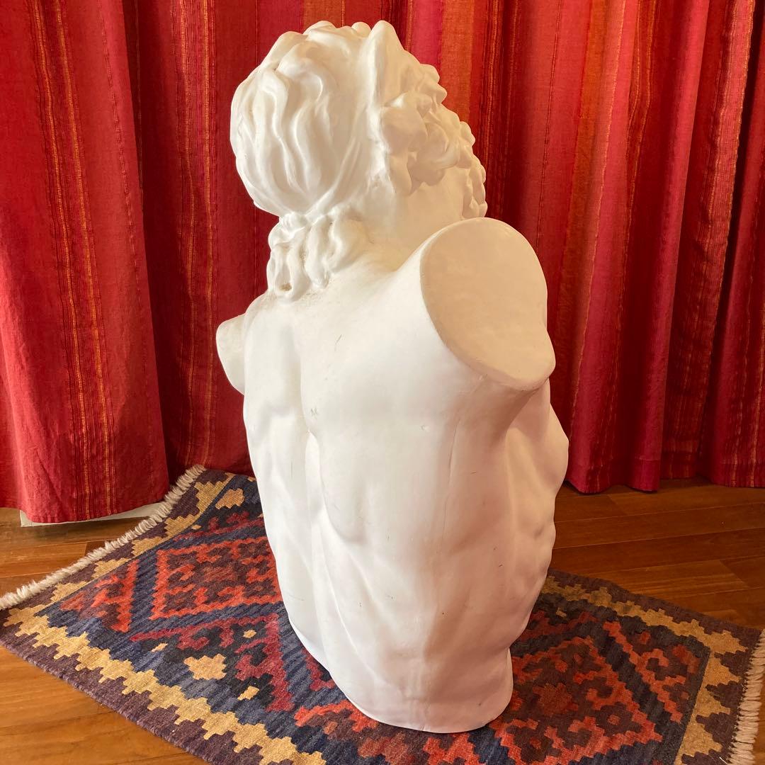 送料込み】ラオコーン像 石膏 胸像 デッサン 美大受験