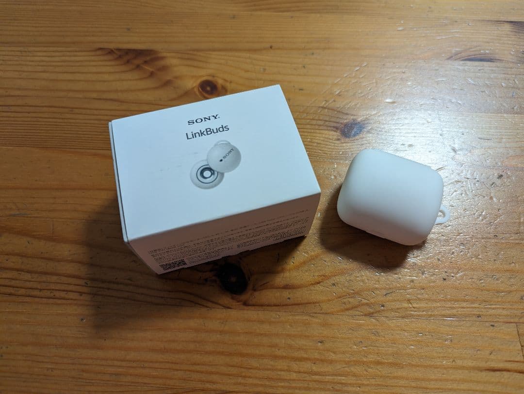 月下に蝙蝠図】峻堂 2567 コウモリ 掛け軸 肉筆 月下に蝙蝠図】峻堂