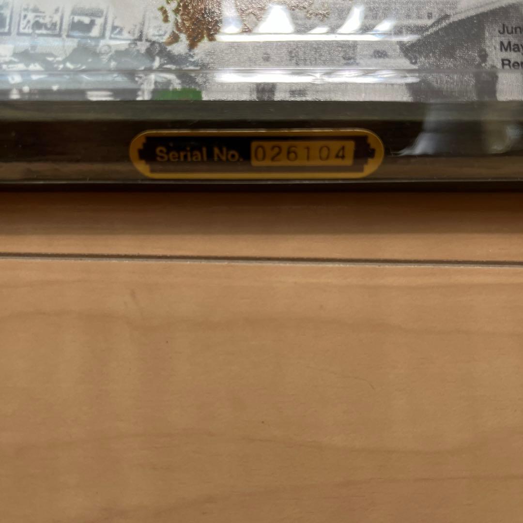 DMZ鉄条網シリアルナンバー入り