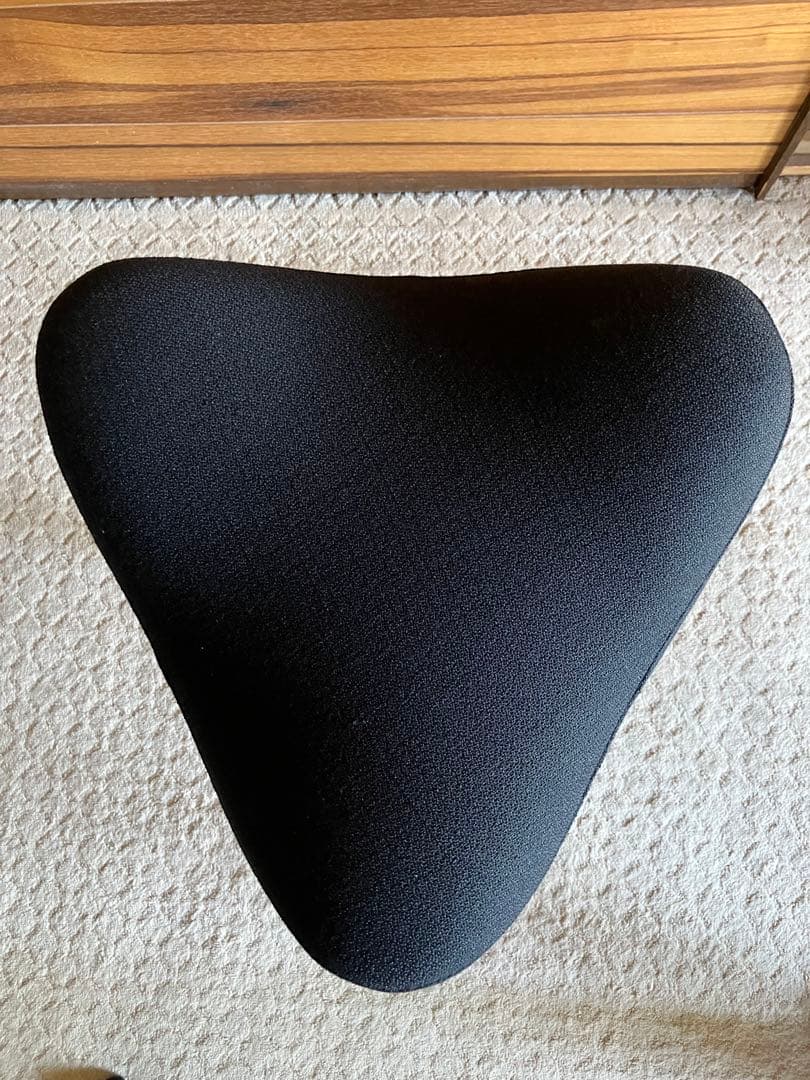 バリエール(varier) ポーランド製