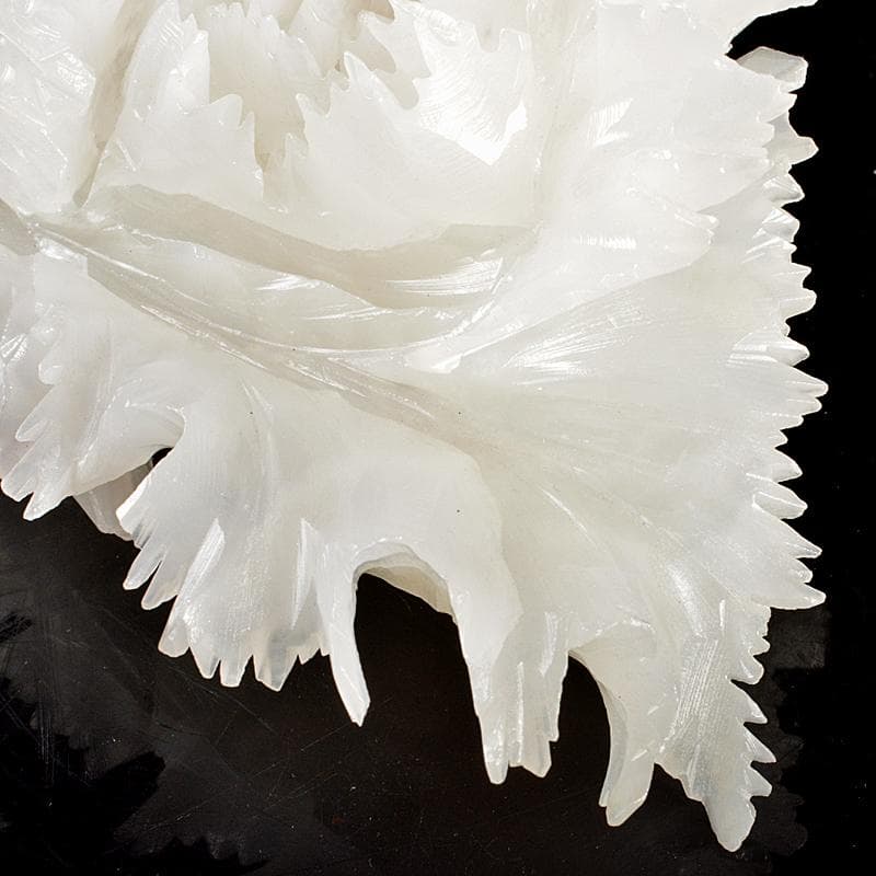 中国 玉石白玉彫刻 白菜 置物 V R5727