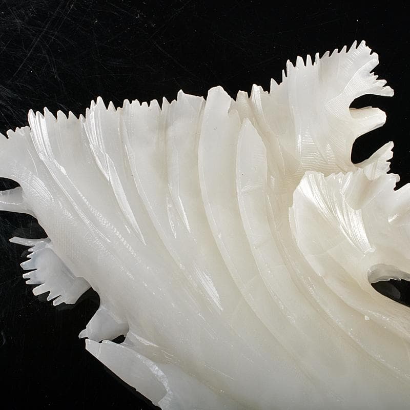 中国 玉石白玉彫刻 白菜 置物 V R5727