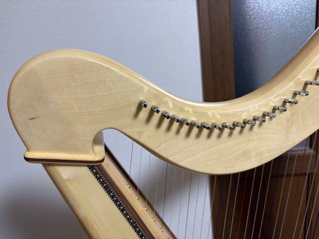 直取限定☆極美品　アオヤマ　ハープ　36弦　140N 唐草模様
