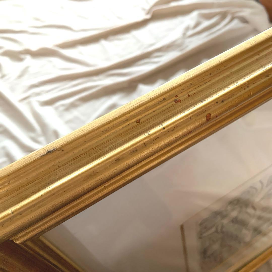 貴重‼️幸地学 銅版画 「実在しない鳥の肖像」グラミー賞公式