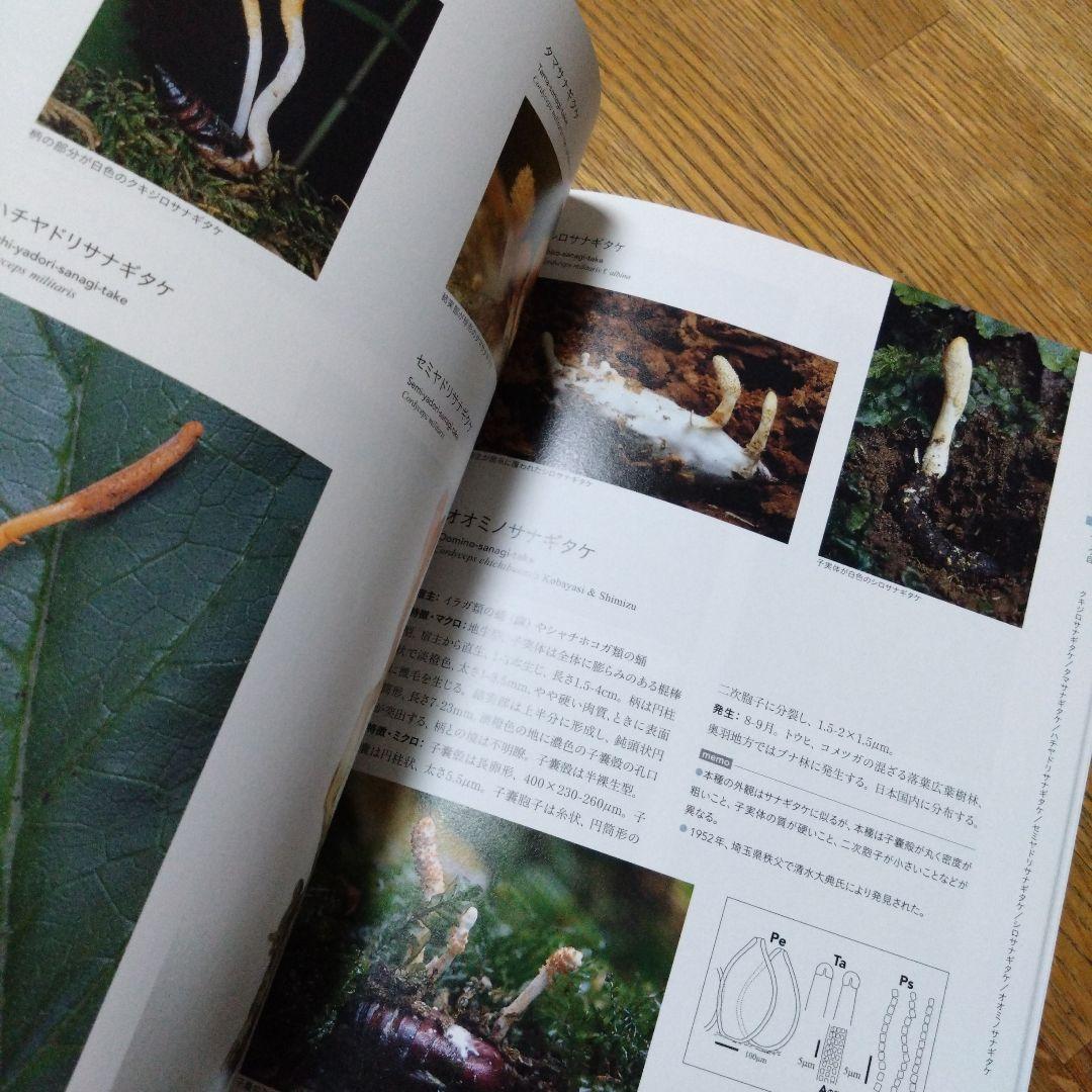 冬虫夏草生態図鑑 採集・観察・分類・同定、効能から歴史まで 240種類