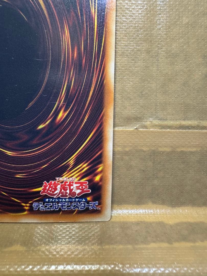 ブラック・ローズ・ドラゴン　ホロ