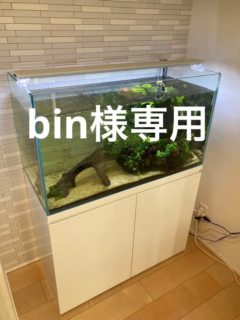 バリ島流木ガラス w17×d14×h19cm 水槽 アクアリウムメダカ水槽801